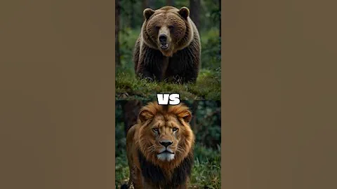 Angry Bear vs Lion vs (Tiger vs Wolf vs Moose vs Crocodile vs Wild Boar)