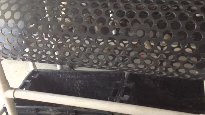 Team Nonesuch strikes again: the portable oyster sorter