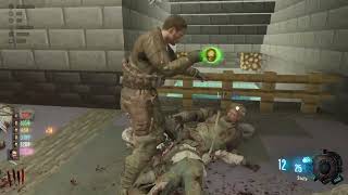 Black Ops 3 Zombies with Friends