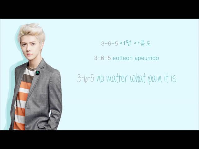 EXO-K - 3.6.5 (Color Coded Hangul/Rom/Eng Lyrics) class=