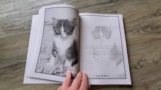 Peek Inside All About Animals funschooling journal