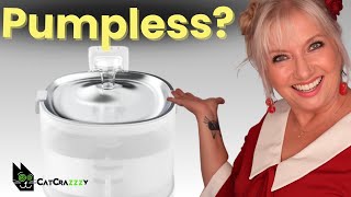 A Pumpless Fountain For Pets? We Tested The Elfin Fountain