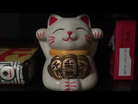 fuzzy windscreen asmr part 2