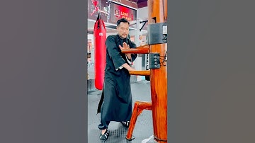 Fight breakdown - wooden dummy applications #vothuat #woodendummy #ipman #wingchun #kungfu #howto