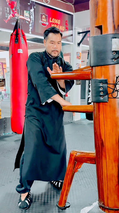 Fight breakdown - wooden dummy applications #vothuat #woodendummy #ipman #wingchun #kungfu #howto