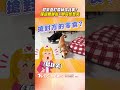 柴犬啃零食「突直盯」雪納瑞！　2狗確認眼神「交換位置」超同步｜TVBS新聞 #shorts