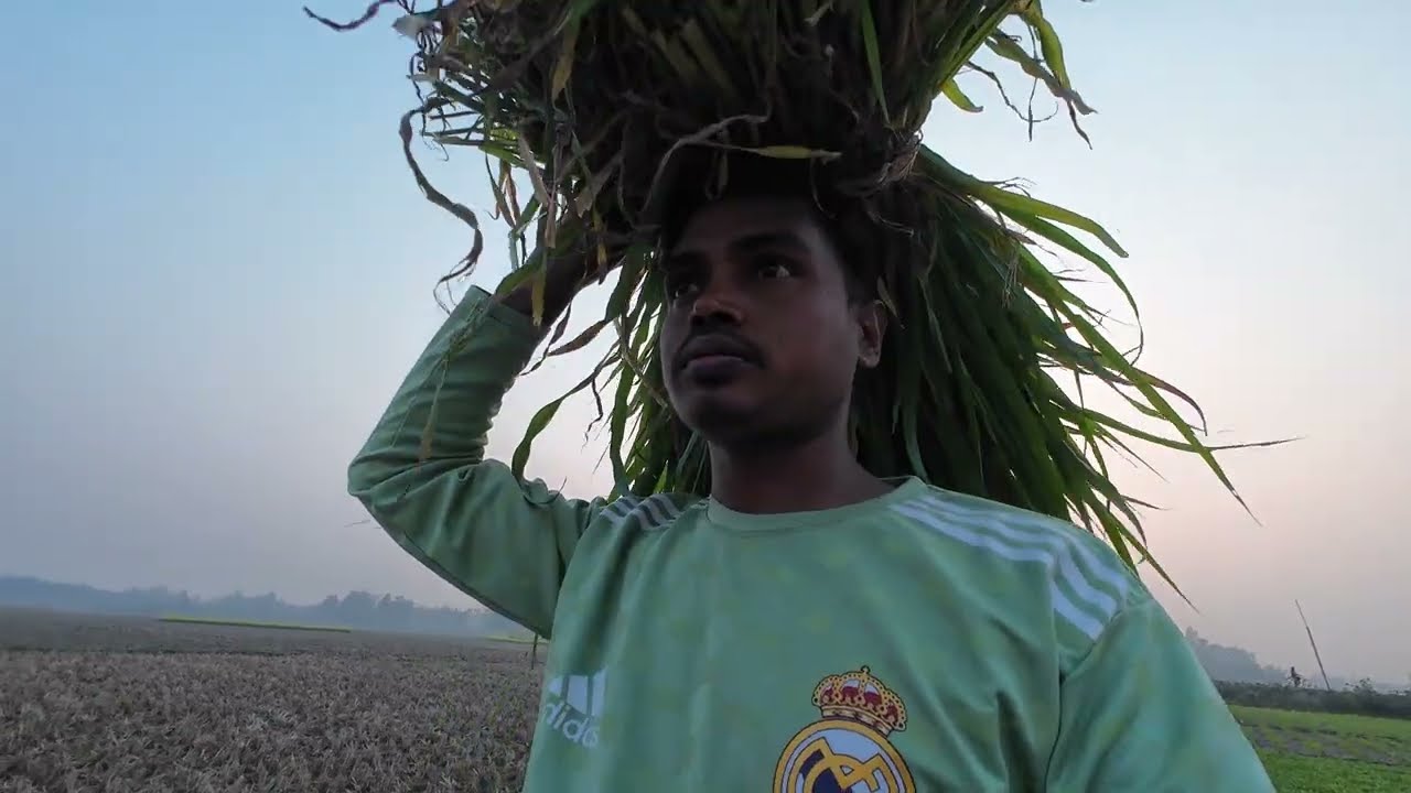 ঢাকার চাকরি ছেড়ে গ্রামে কৃষি কাজের জীবন যাপন || Dibanishi Protidin