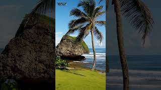 TOP 5 PLACSE BARBADOS