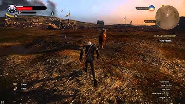 Witcher 3 Bug - Where is everything? (Ultra settings - 980 Ti SLI)