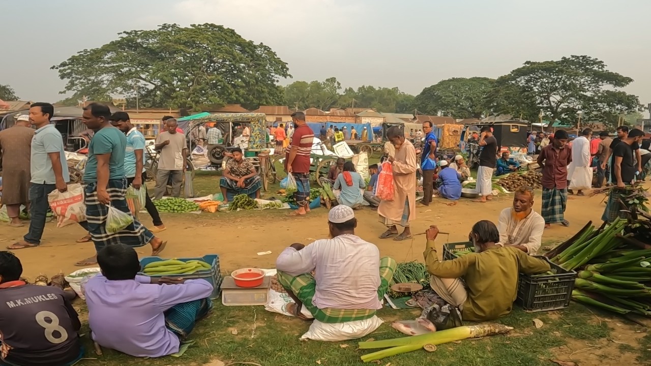 সবুজ প্রকৃতিতে ঘেরা বাংলার গ্রামীণ হাট কাকরকান্দি বাজার। Bangladeshi Village Market and Village Life