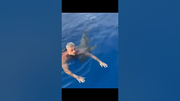videos de tubarão atacando turista