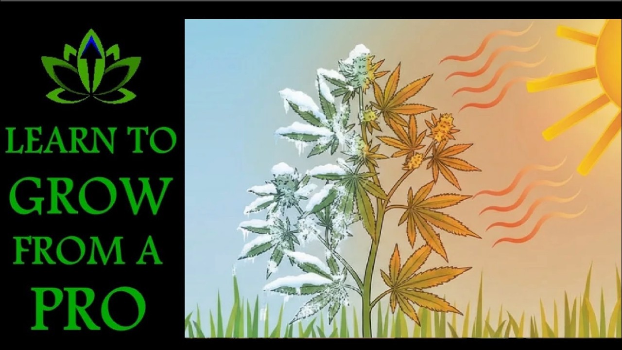 2.1 Temperature and Humidity - Turbocharge Your Growing Knowledge