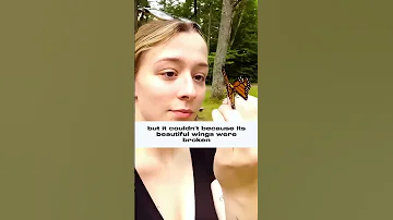 She Rescued This Beautiful Butterfly And Set It Free 
