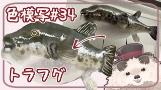 【一緒に朝活】色模写の火曜日＃３４【ゆる～くお絵描き】