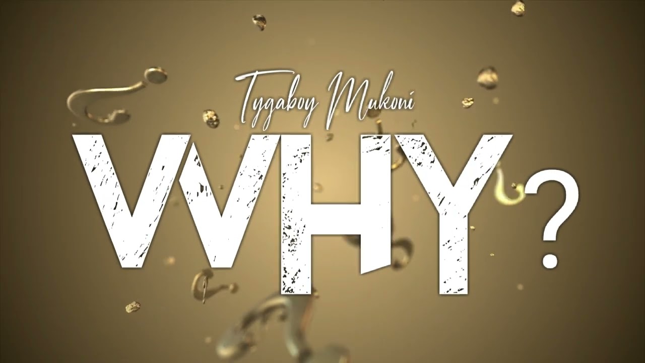 Tygaboy Mukoni - Why (Official Audio Visualizer)