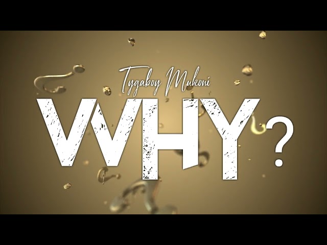 Tygaboy Mukoni - Why (Official Audio Visualizer) class=