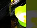 الكنافة بالمانجة أسهل وأسرع حلو ممكن تحضريه في دقايق الكنافة بالمانجة أسهل وأسرع حلو ممكن تحضريه في دقايق