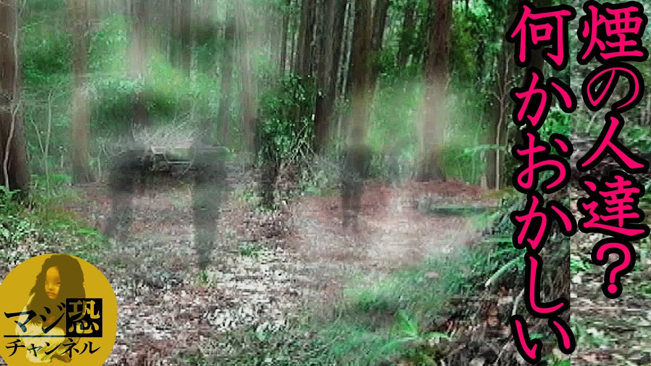 【心霊映像】スﾀｯﾌ失踪!ほんとに怖い映像…禁止区域でみてしまった昭和最恐せいじ犯の霊234
