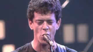 Watch Lou Reed Average Guy video