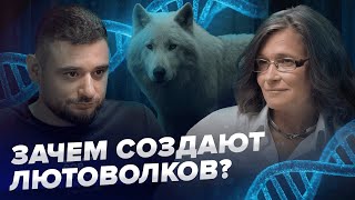 видео: Биология и ИИ | Зачем ученые создают лютоволков? | Мария Попцова картинка: Биология и ИИ | Зачем ученые создают лютоволков? | Мария Попцова