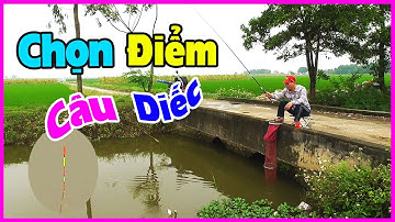 ✅ Kinh Nghiệm Chọn Điểm Câu Cá Diếc Sông | Tìm Được Khúc Sông Quê Yên Bình Nhiều Cá