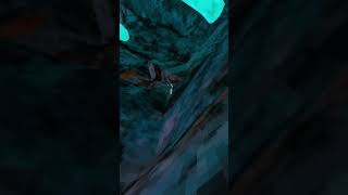 Momma Pls Dont Kill Me