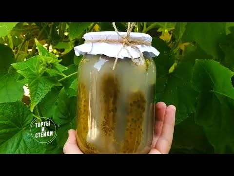Соленые огурцы на зиму в банках. Заквашиваем и закатываем.