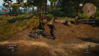 The Witcher 3 - Roach as Tactical Diversion