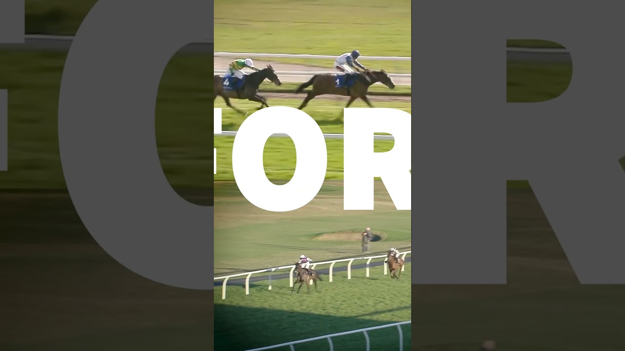 Harry Derham Racing 2024 Highlights