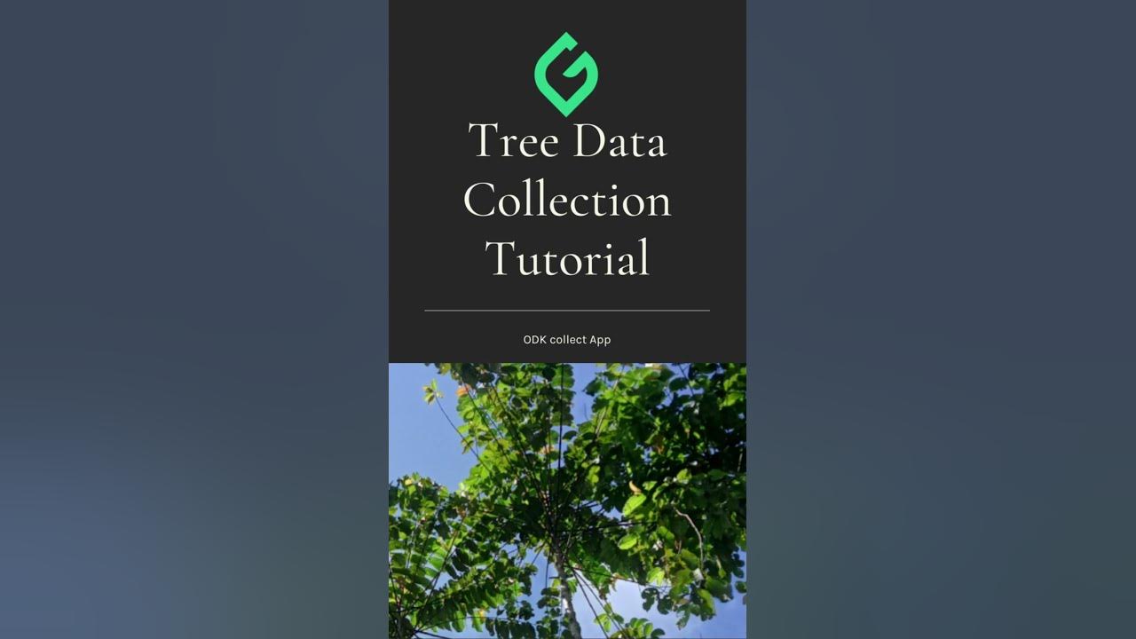 ODK Tree Data Collection Tutorial - YouTube