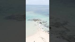 WOW White sand beach, crystal clear blue waters of NAKED ISLAND SIARGAO 🌴 #beach #fyp #foryou