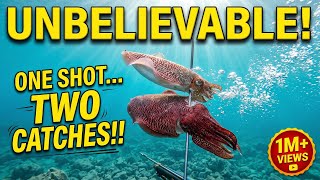 Cuttlefish spearfishing