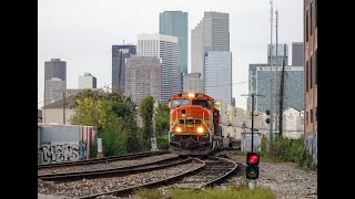 PRLX 248, PRLX 207, and KCS 1907