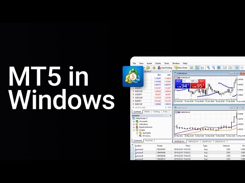 How to log in to MT5 in Windows