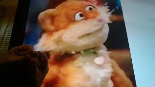 Horacio the handsnake - Sizzle the cat (puppet)
