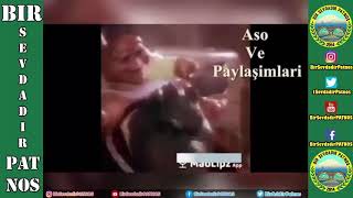 Aso Ve Paylaşimlari1