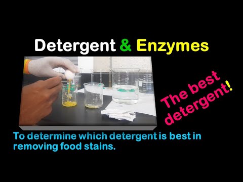 Testing which detergent is best in removing food stains (Enzymes in detergents experiment).