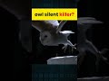 Silent Killer 🔪 I How Owls Hunt So Silently I #shorts #ytshorts