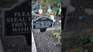GNOMES
