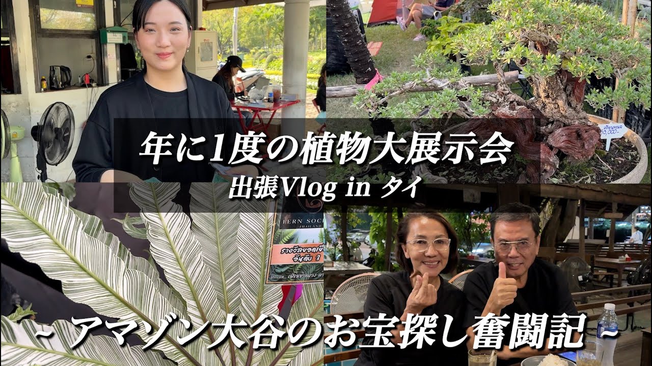 EP#016【年に1度の植物大展示会 in タイ】~ アマゾン大谷のお宝探し奮闘記 ~ 【アマゾンへ行こ〜】【Vlog】