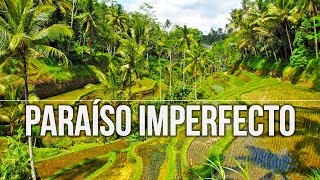 Qu Ver Y Qu Hacer En Bali  Un Paraso Imperfecto En Indonesia 