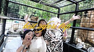 Trapped In A Cage Surrounded By Lions best Safari Ever