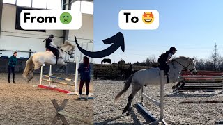 Problem Solving Pony Refusing Gymnastics Jumps