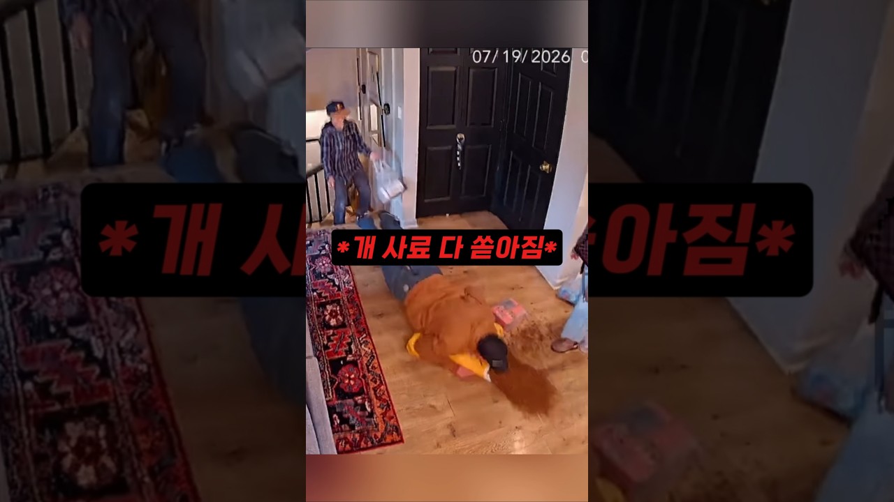 평생 기억에 남을 가족의 하루