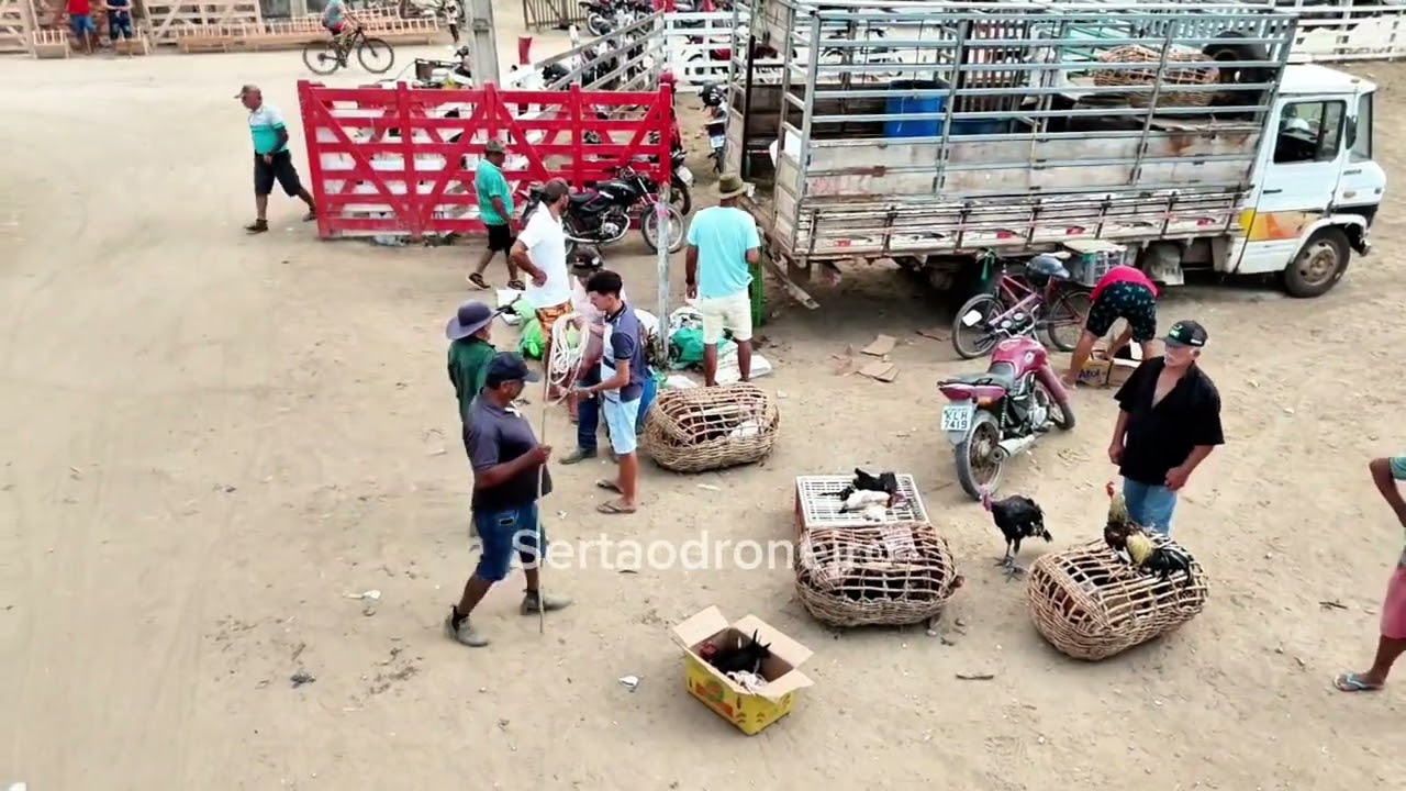 Feira de gado de Santa Cruz do Capibaribe 05.01.2026