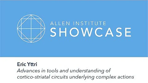 Eric Yttri | 2019 Allen Showcase Symposium