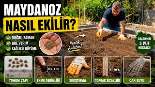 Maydanoz Nasıl Ekilir? #maydanoz