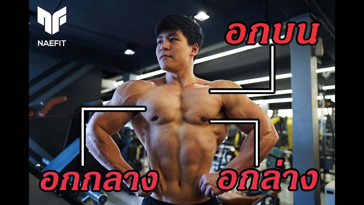 5 ท่าสร้างกล้ามอกให้เต็ม ( อกบน, อกกลาง, อกล่าง ) สอนแบบละเอียด!