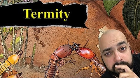 Termity Review - with Zee Garcia