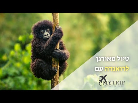 וִידֵאוֹ: המקומות המעניינים ביותר לטייל מדצמבר עד פברואר